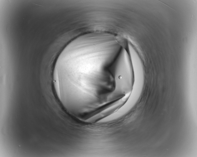 X0000088130673200706041949