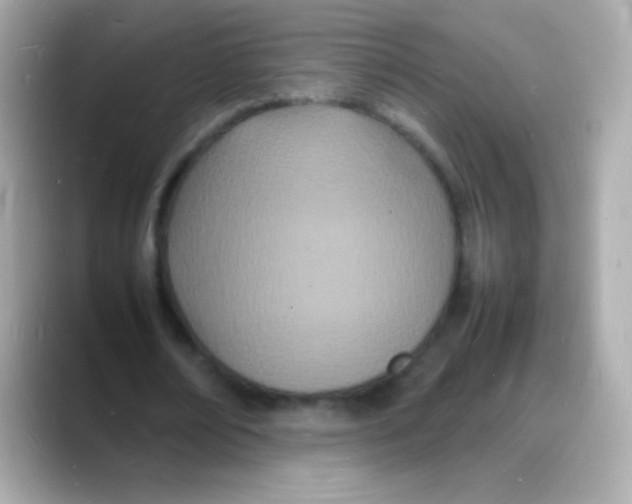 X0000088130674200706041949