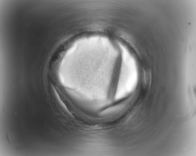 X0000088130675200706041949