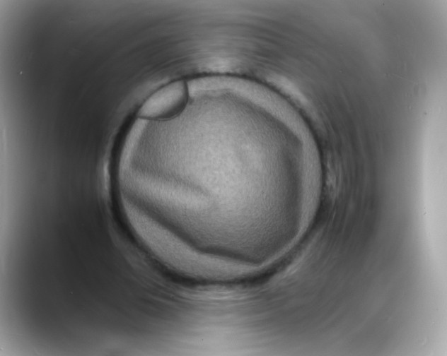 X0000088130678200706041949