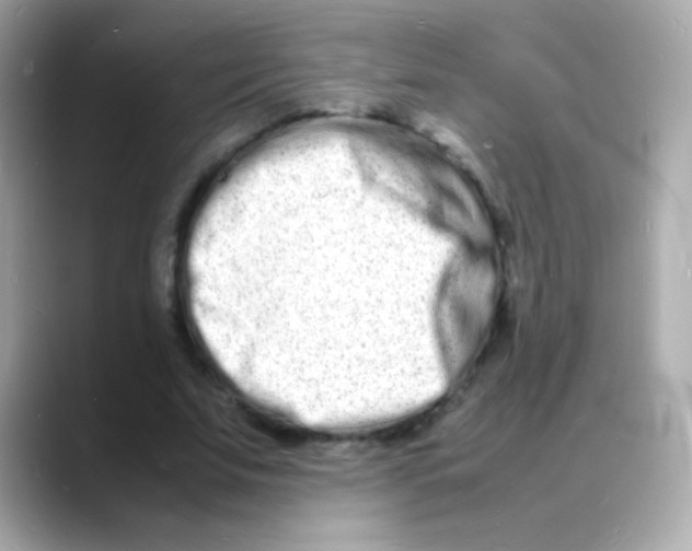 X0000088130679200706041949