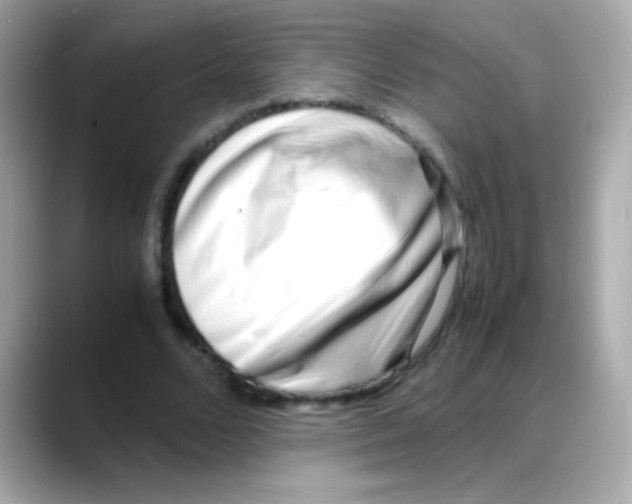 X0000088130680200706041949