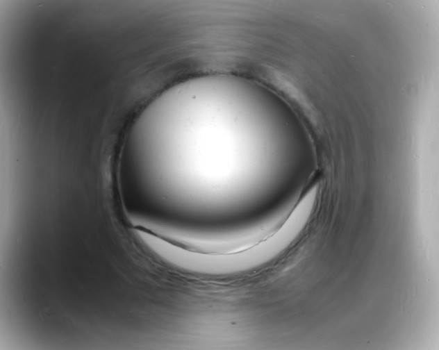 X0000088130681200706041949