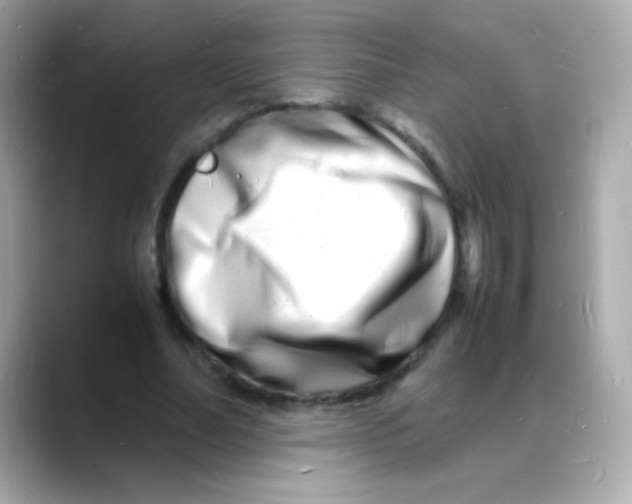 X0000088130682200706041949