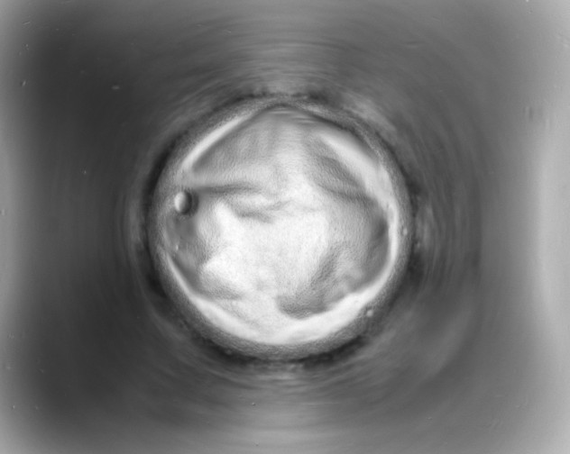 X0000088130683200706041949