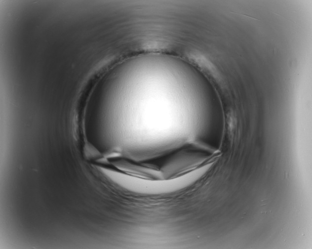 X0000088130684200706041949