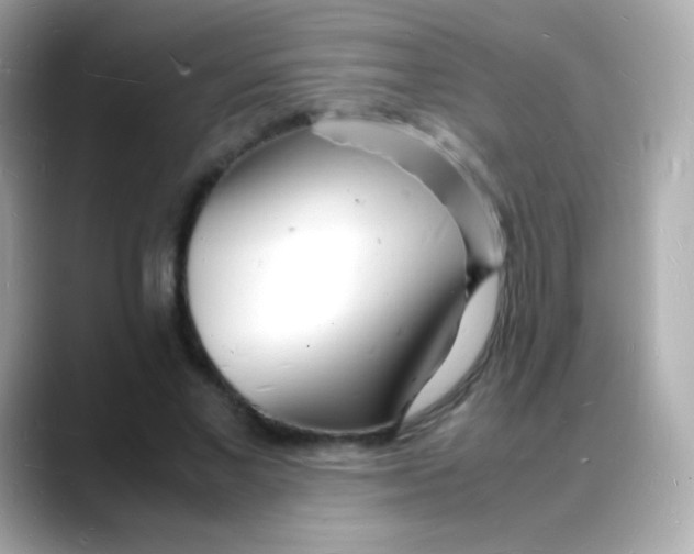 X0000088130685200706041949