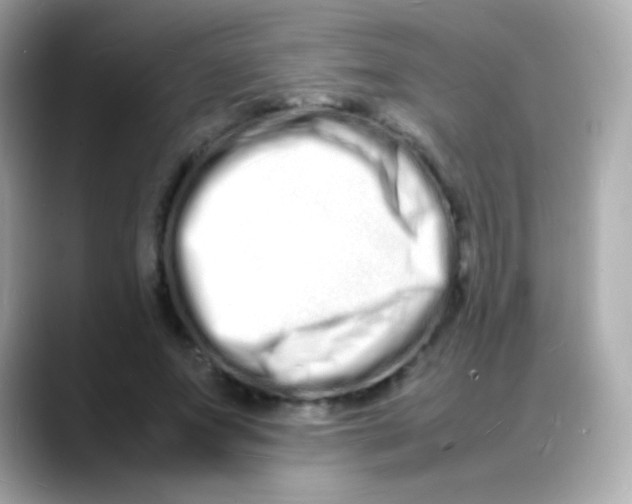 X0000088130687200706041949