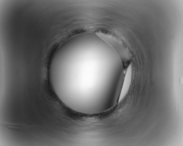 X0000088130689200706041949