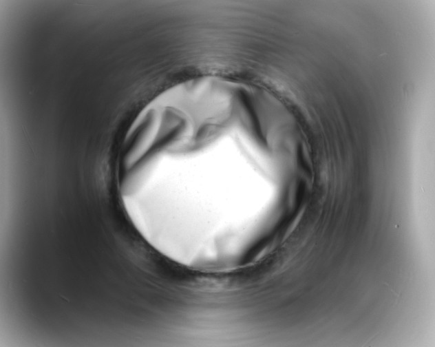 X0000088130690200706041949