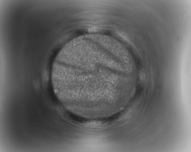 X0000088130691200706041949