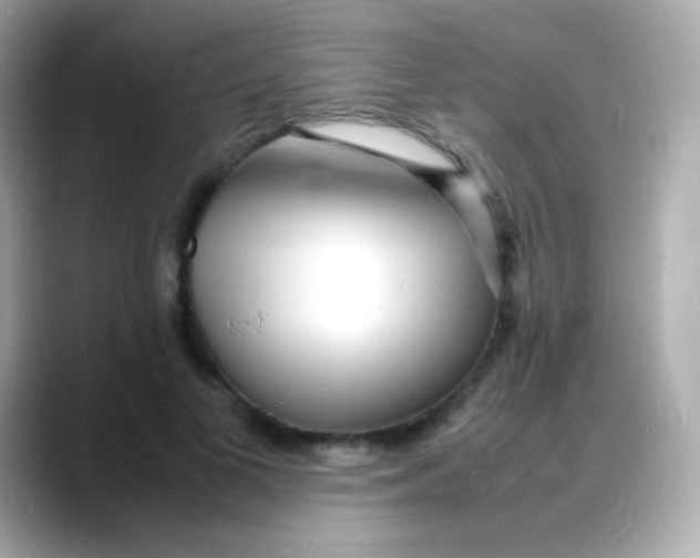 X0000088130693200706041949