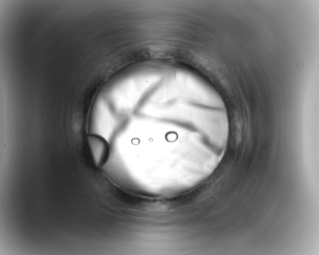 X0000088130698200706041949