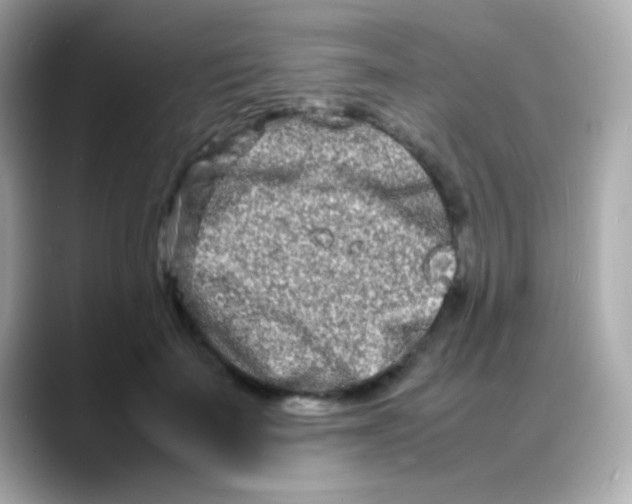 X0000088130699200706041949