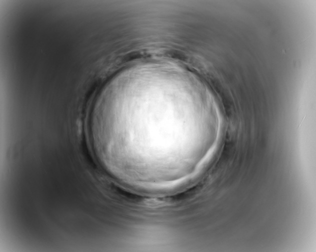 X0000088130703200706041949