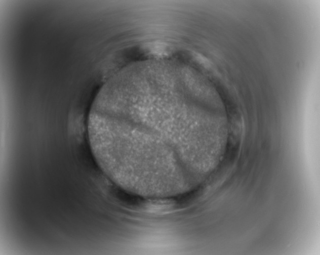 X0000088130707200706041948