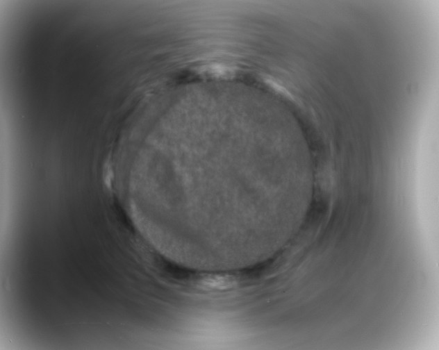 X0000088130709200706041948