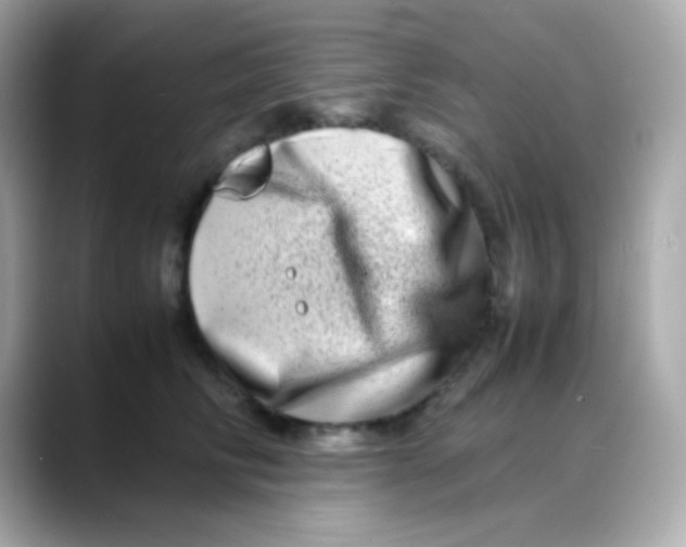 X0000088130710200706041948