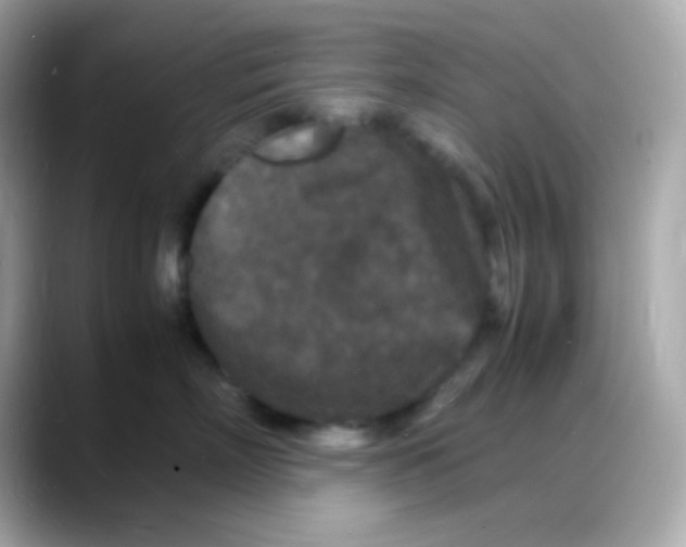 X0000088130718200706041948