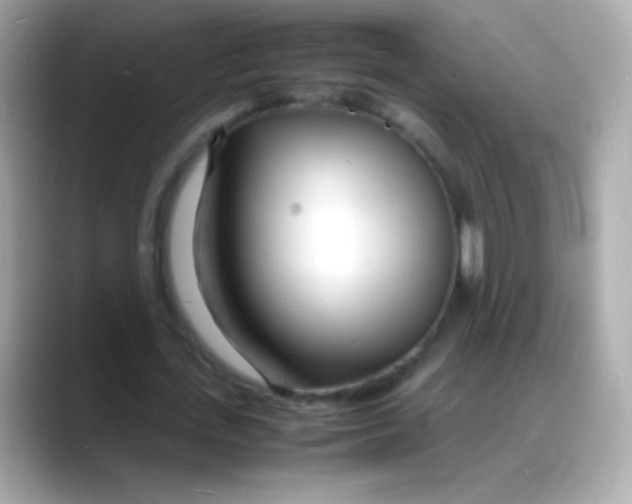 X0000088130723200706041948