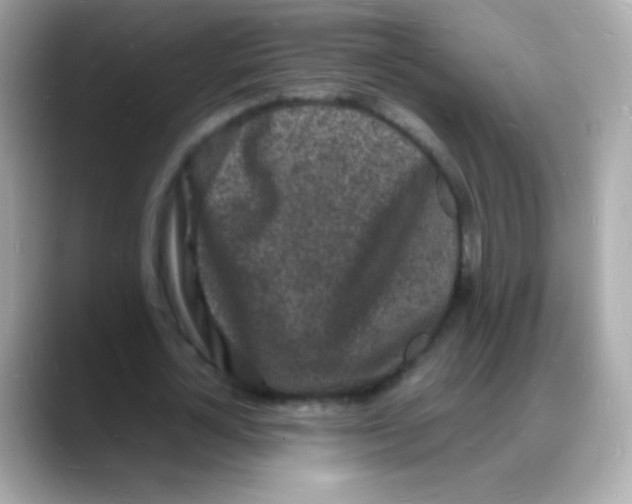 X0000088130724200706041948