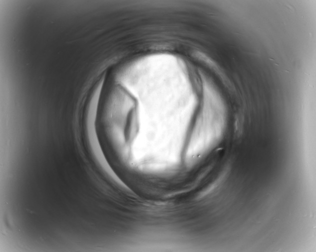 X0000088130725200706041948