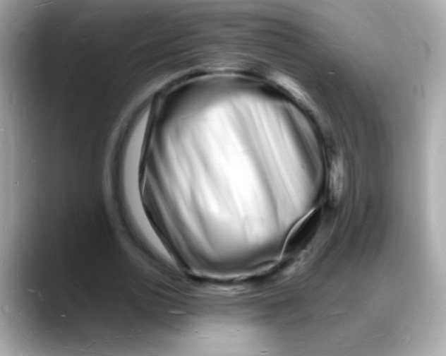 X0000088130726200706041948