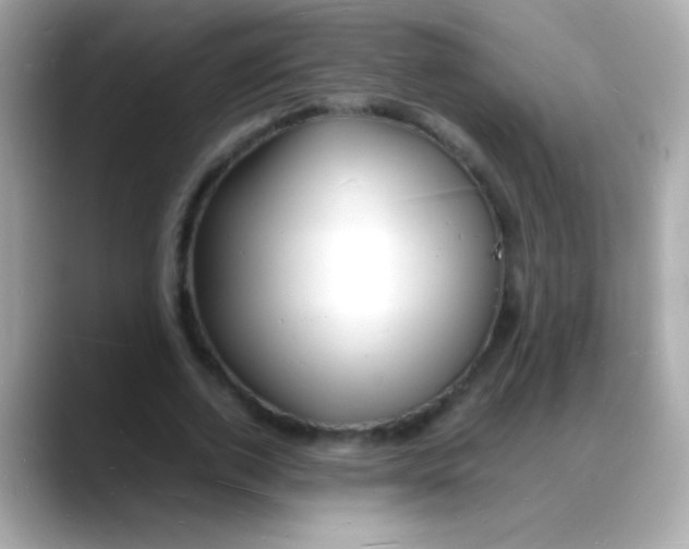 X0000088130728200706041948