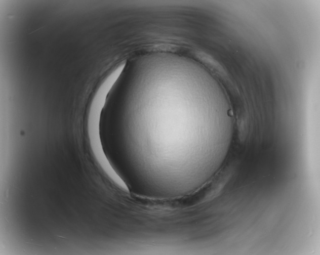 X0000088130729200706041948