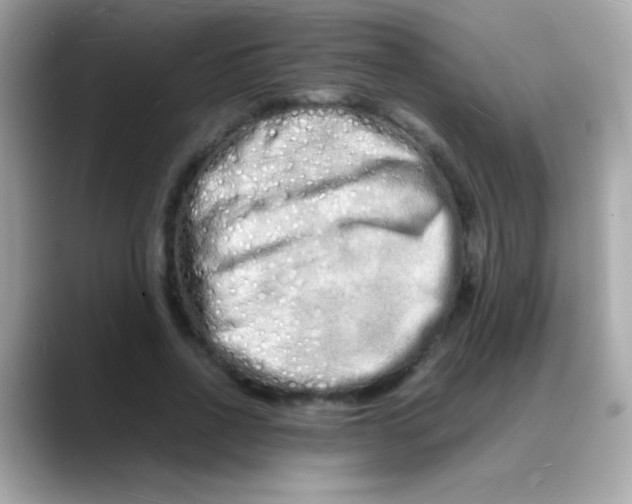 X0000088130734200706041948