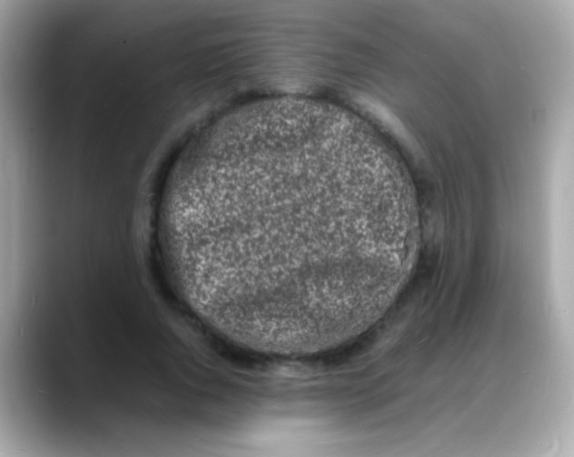 X0000088130736200706041948