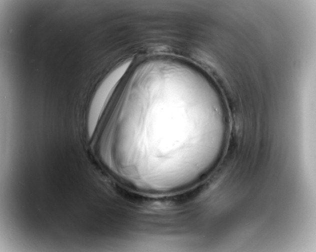 X0000088130737200706041948