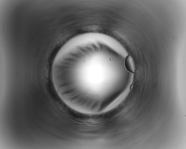 X0000088130739200706041948