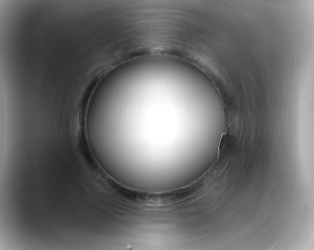 X0000088130740200706041948