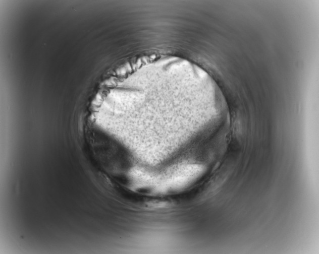 X0000088130742200706041948