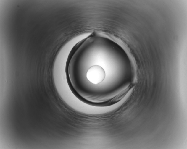 X0000088130744200706041948