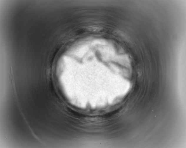 X0000088130745200706041948