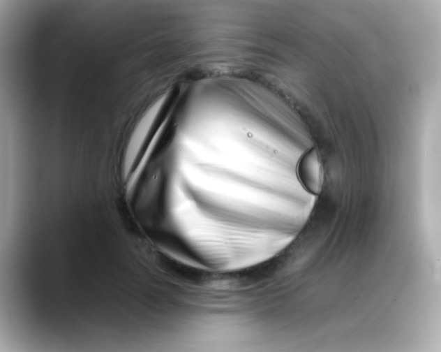 X0000088130746200706041948