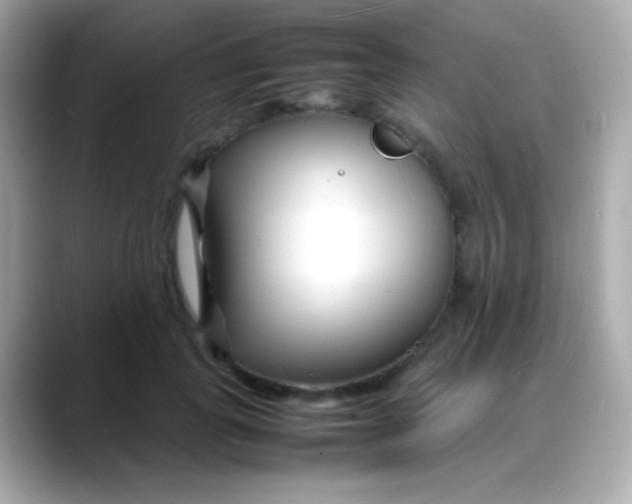 X0000088130747200706041948