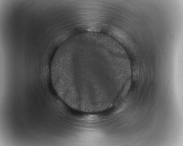 X0000088130748200706041948