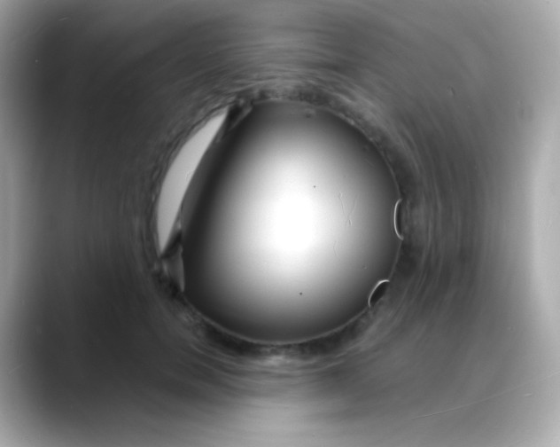 X0000088130750200706041948