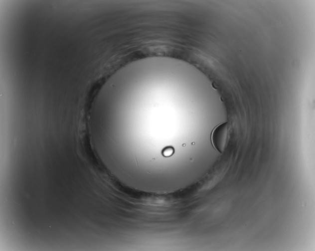 X0000088130751200706041948