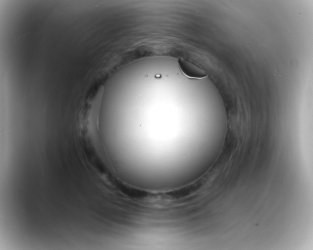 X0000088130752200706041948