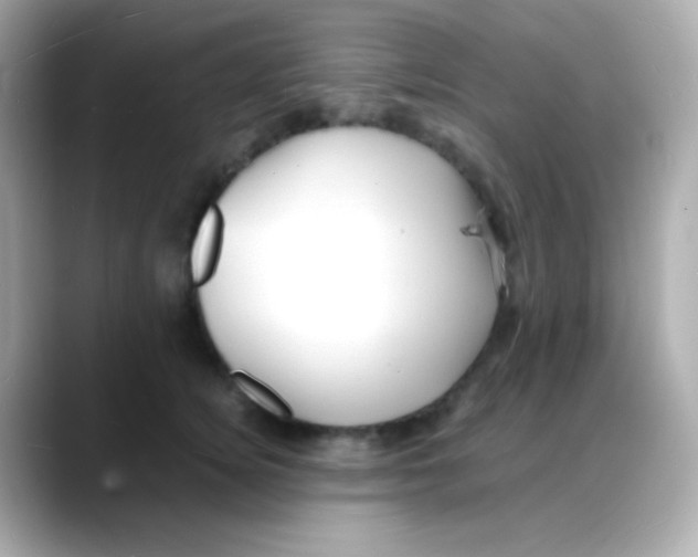 X0000088130756200706041948