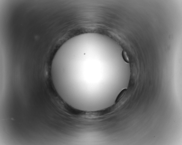 X0000088130758200706041948