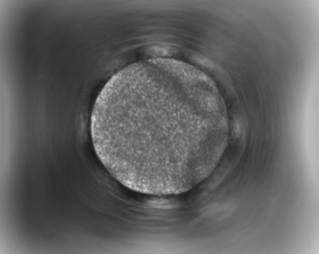 X0000088130759200706041948