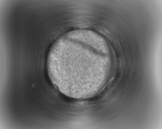 X0000088130760200706041948