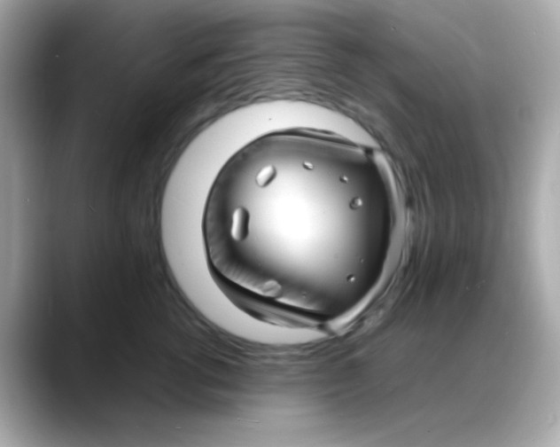 X0000088130762200706041948