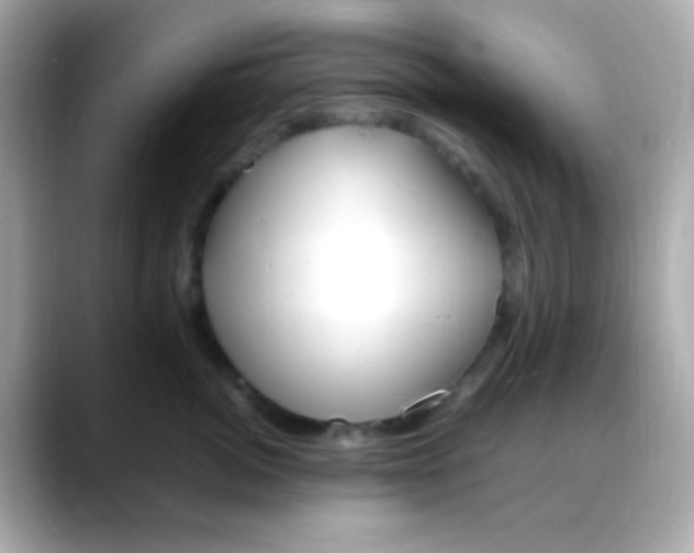 X0000088130764200706041948