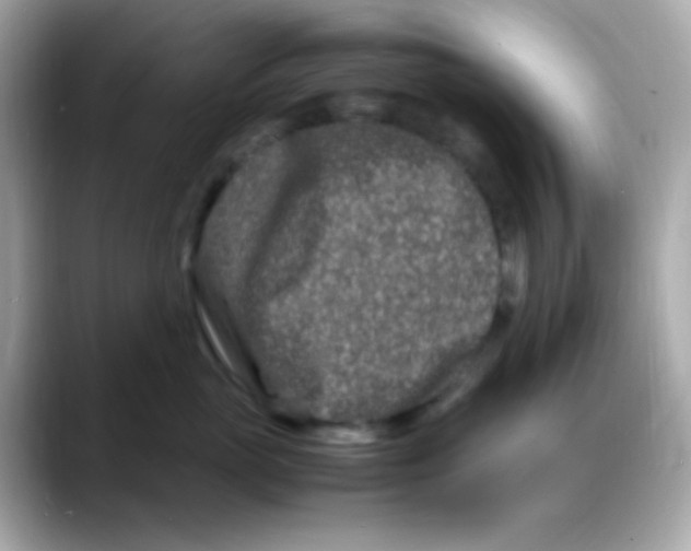 X0000088130765200706041948